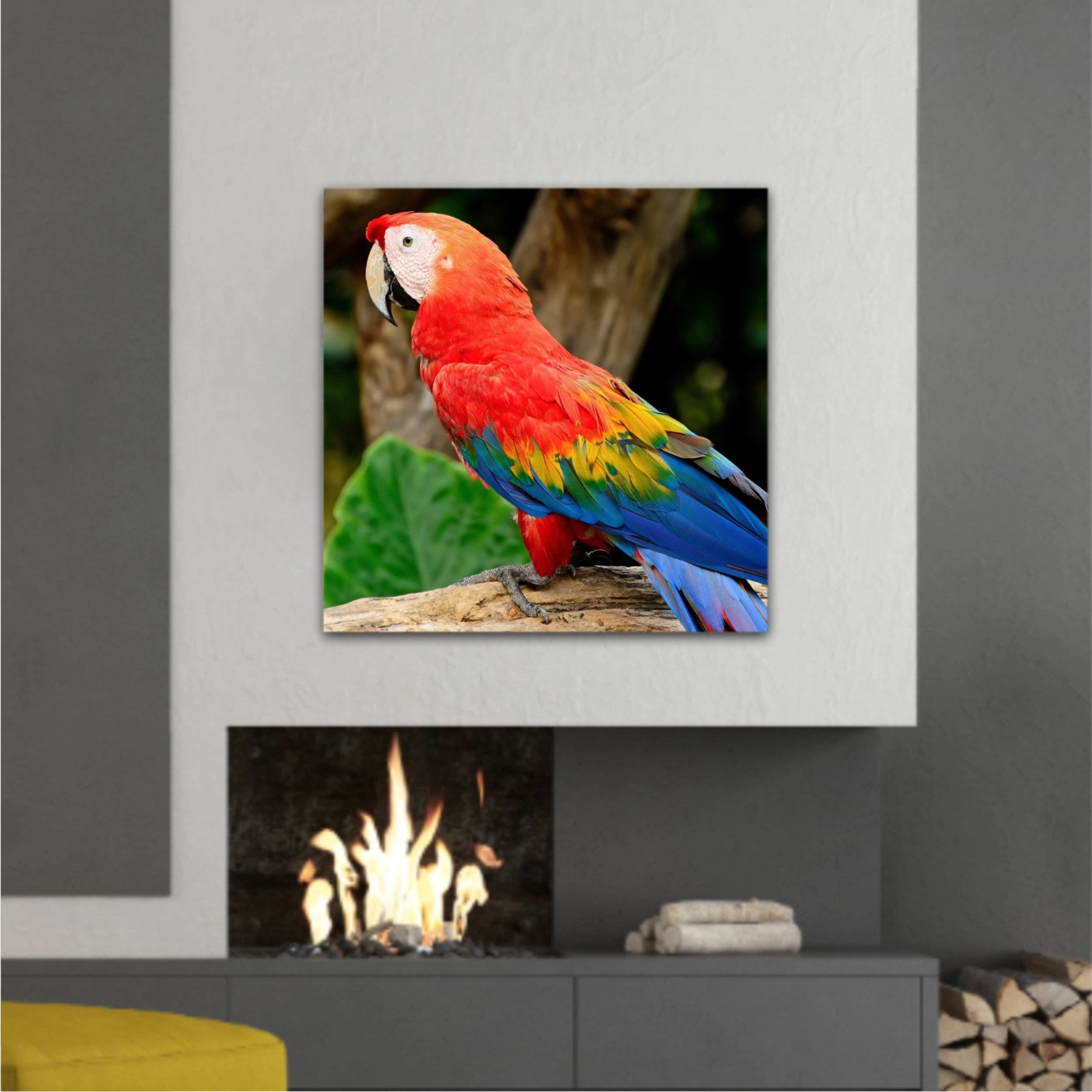 Frumoasa voliera macao stacojiu  |  Beautiful Scarlet Macaw aviary