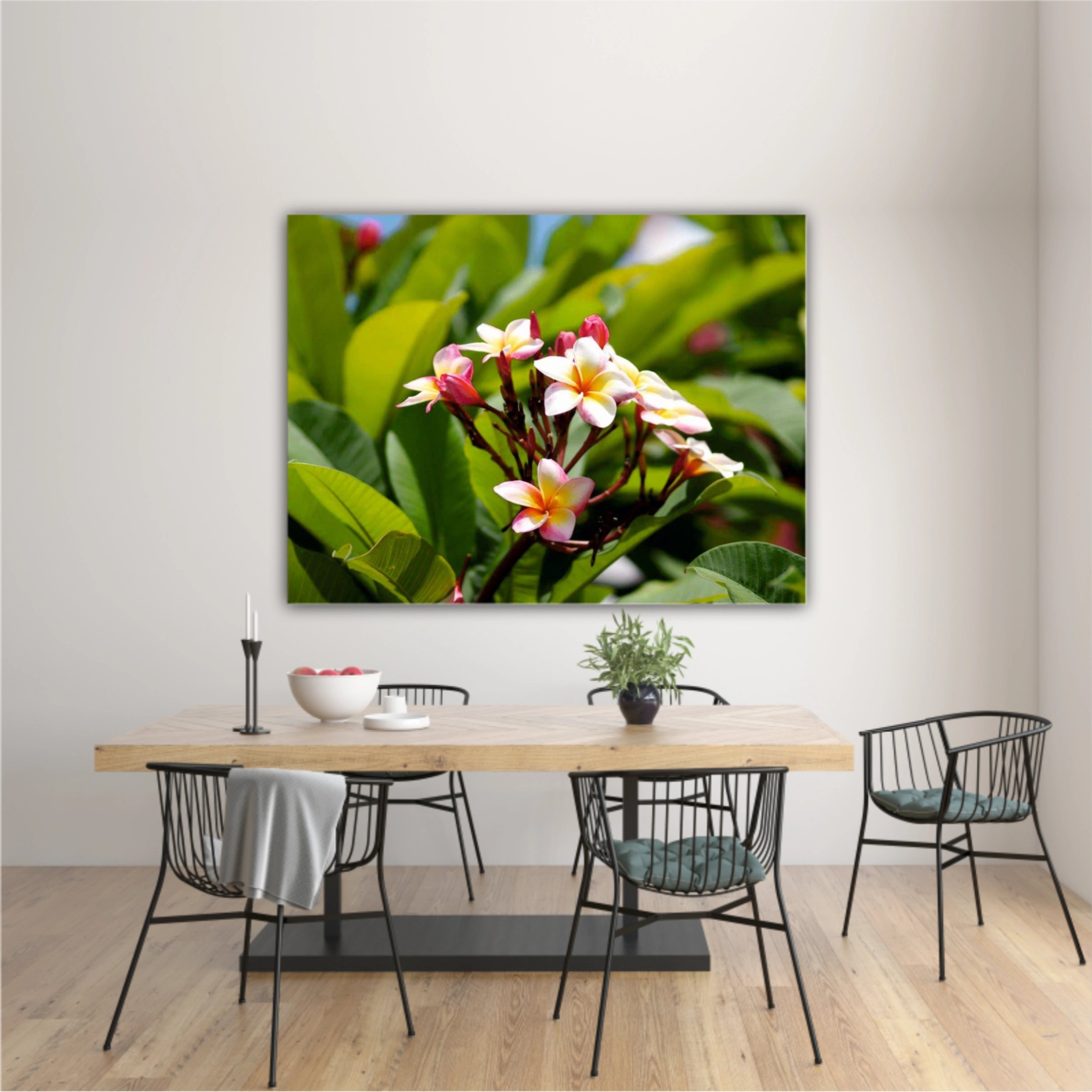 Plumeria