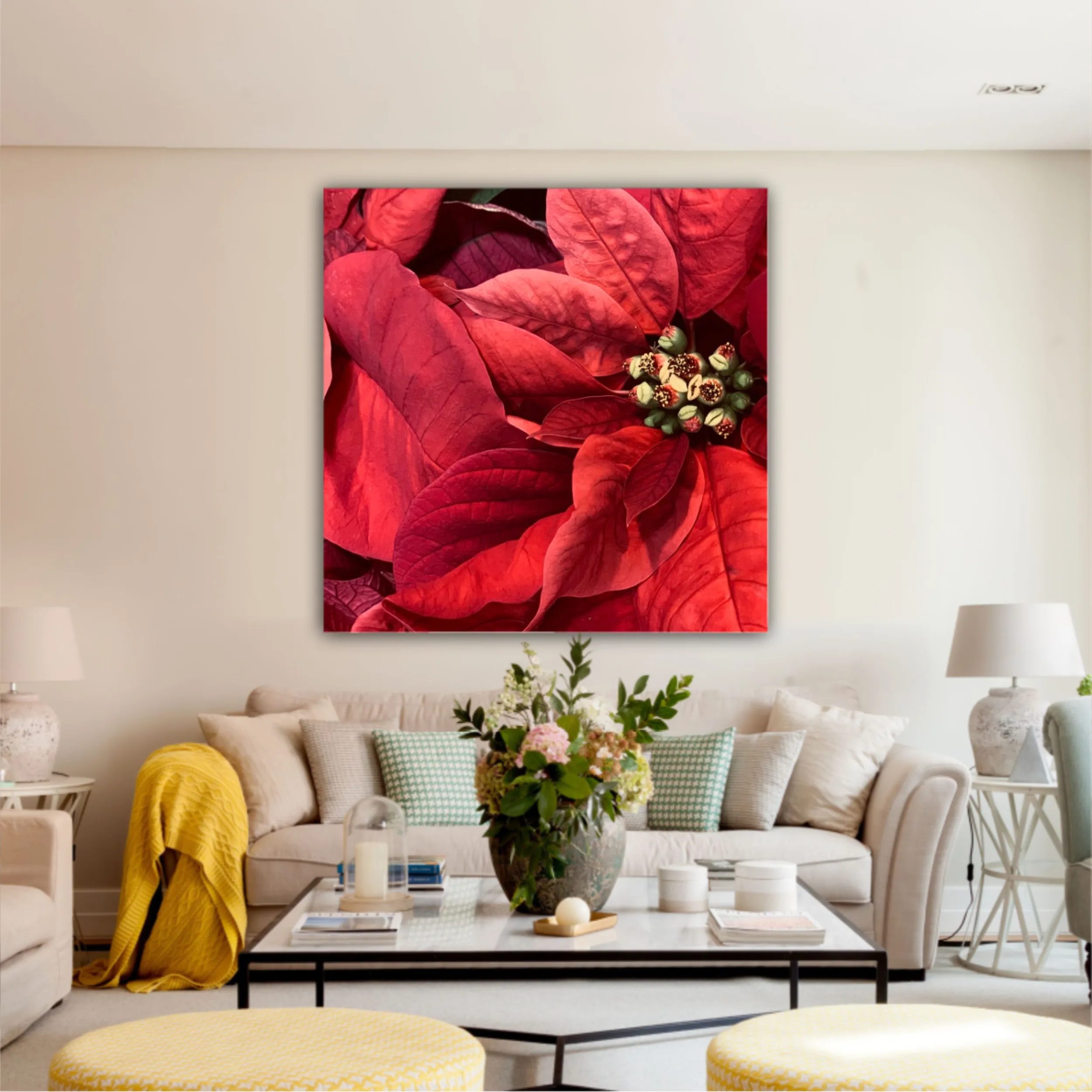 Red Poinsettia flowers closed from above