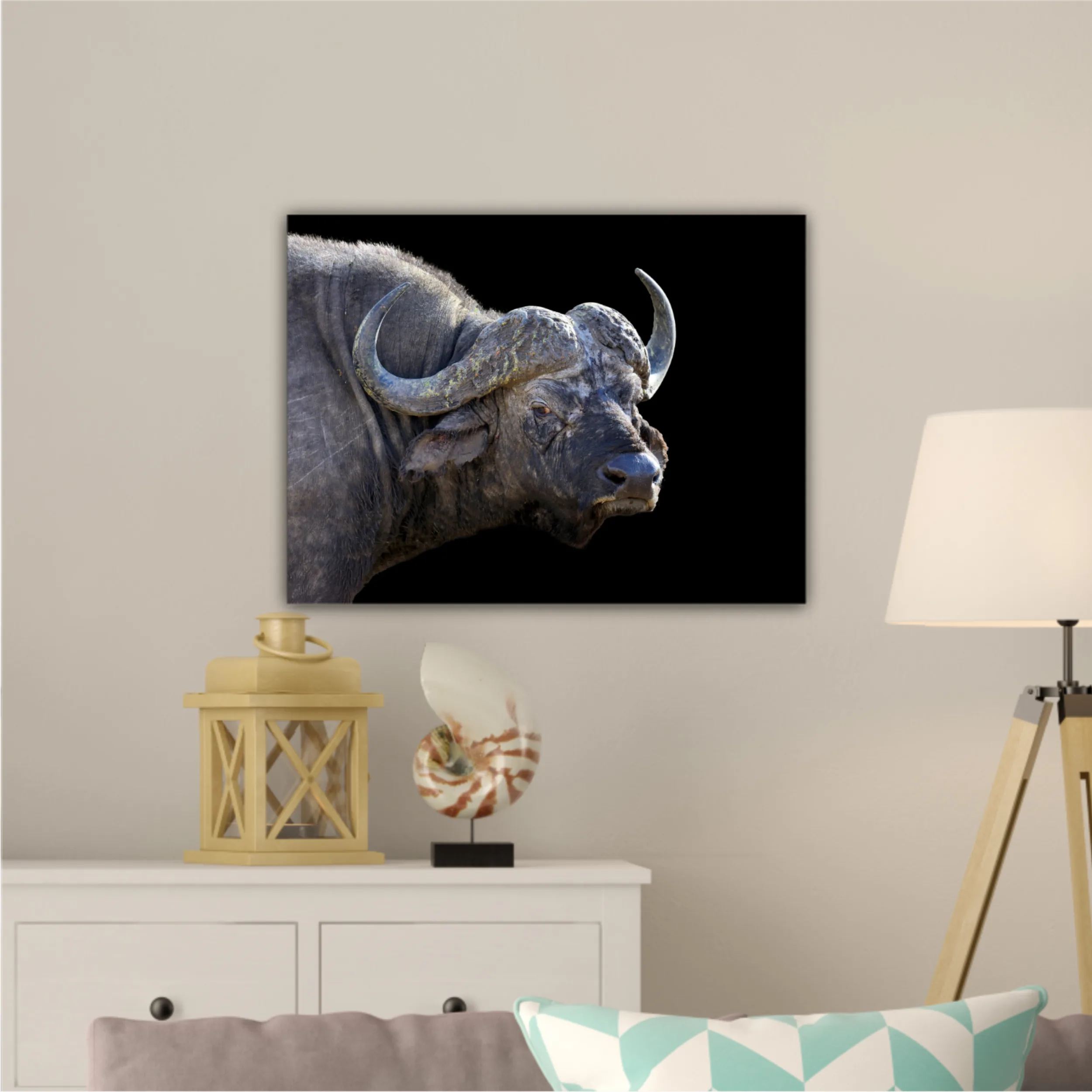 Wild african buffalo