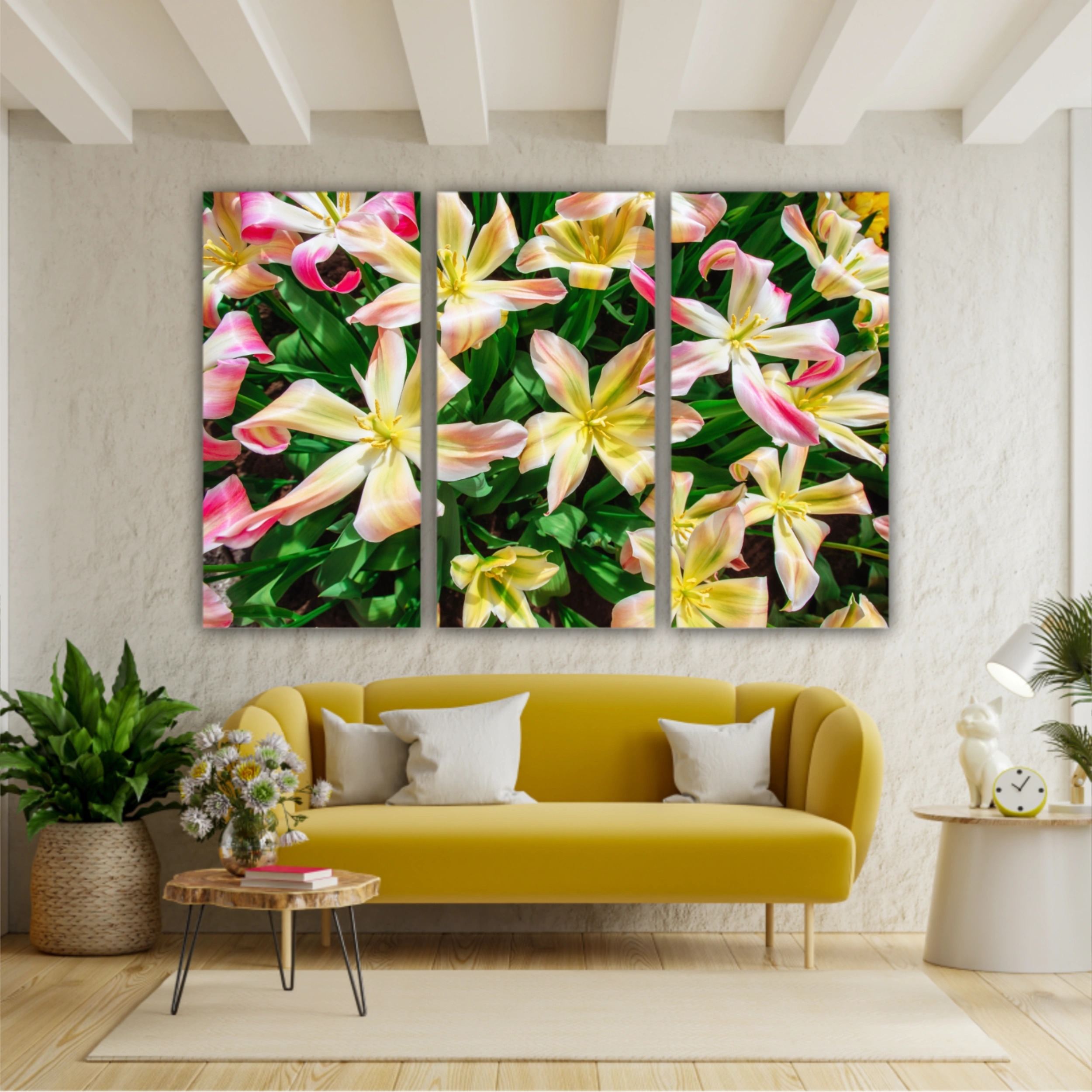 Plumeria