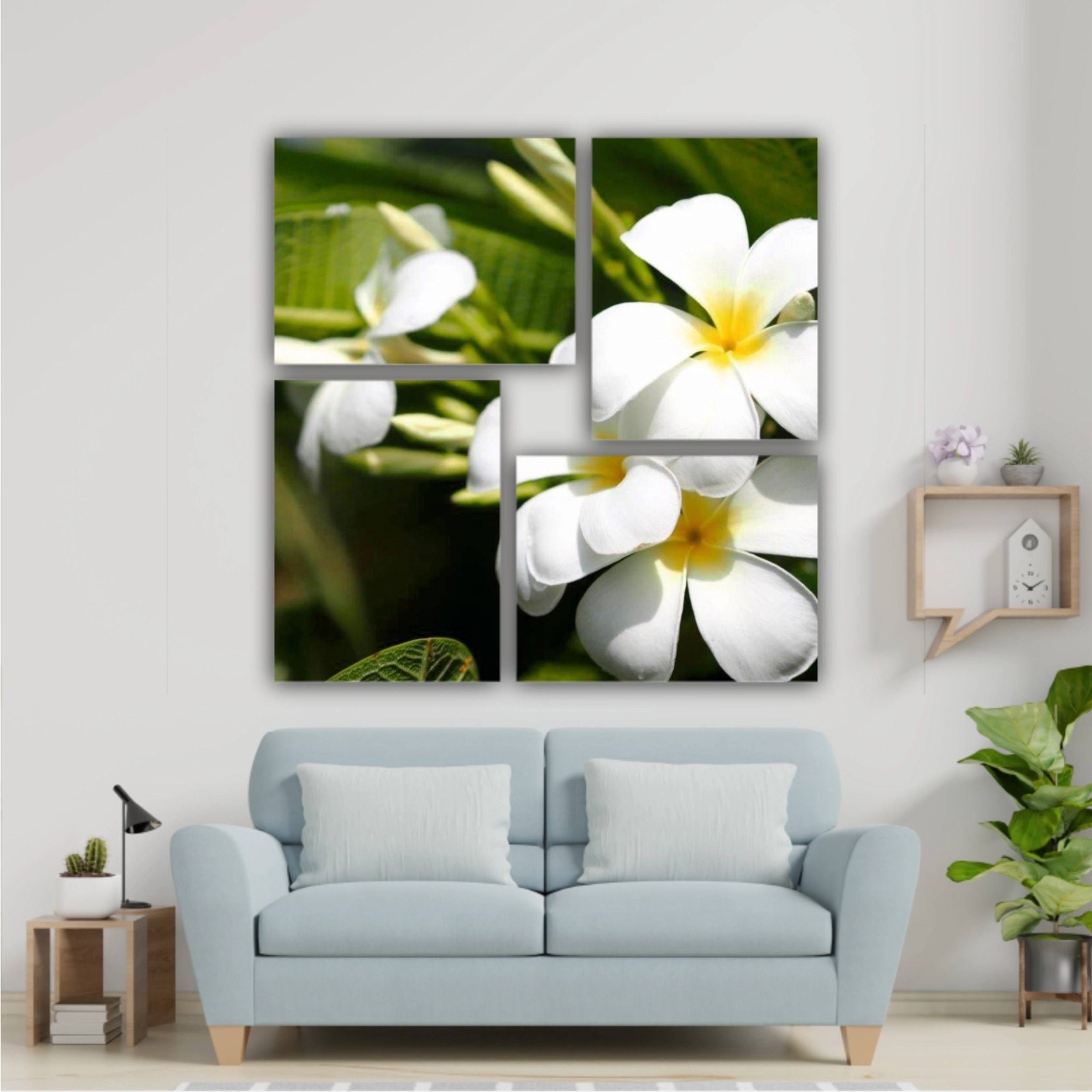 Plumeria