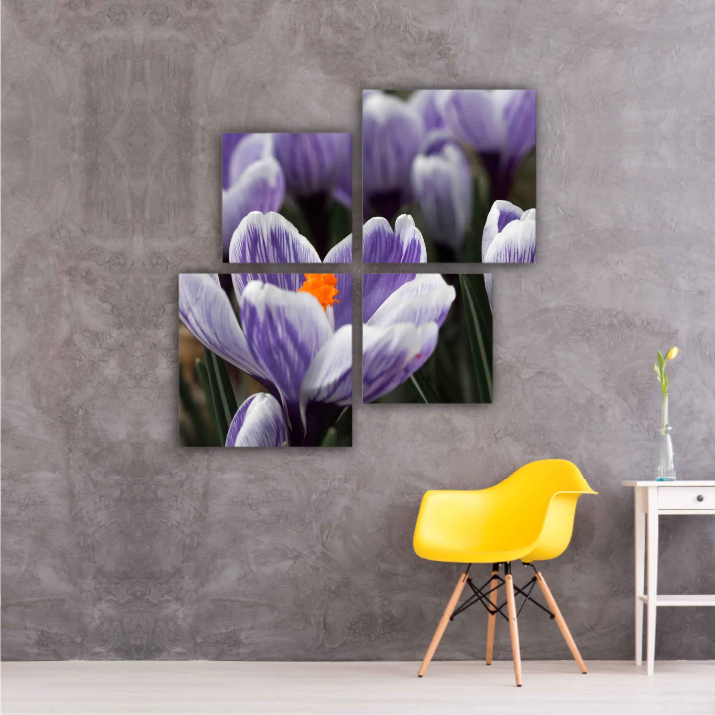 Crocus