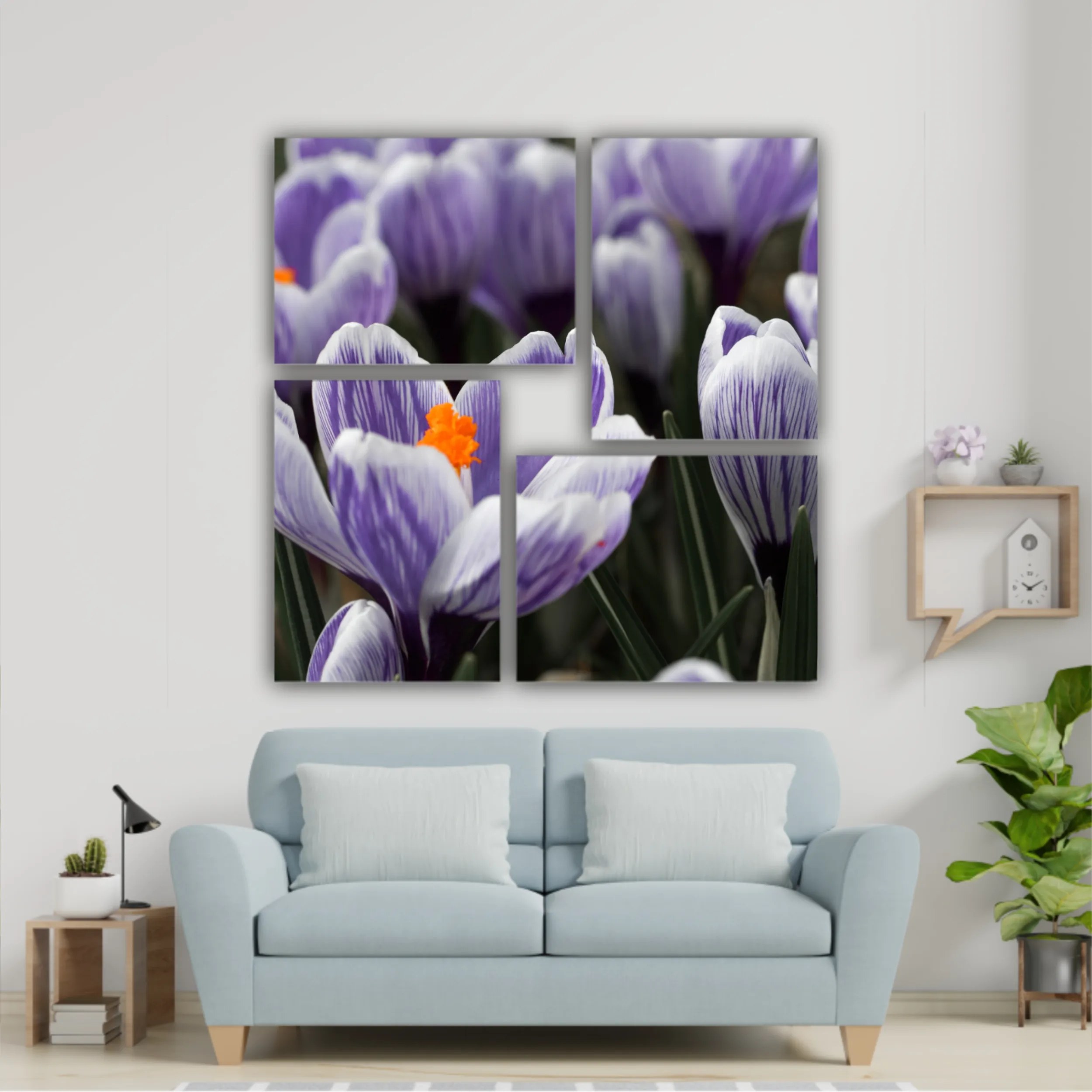 Crocus