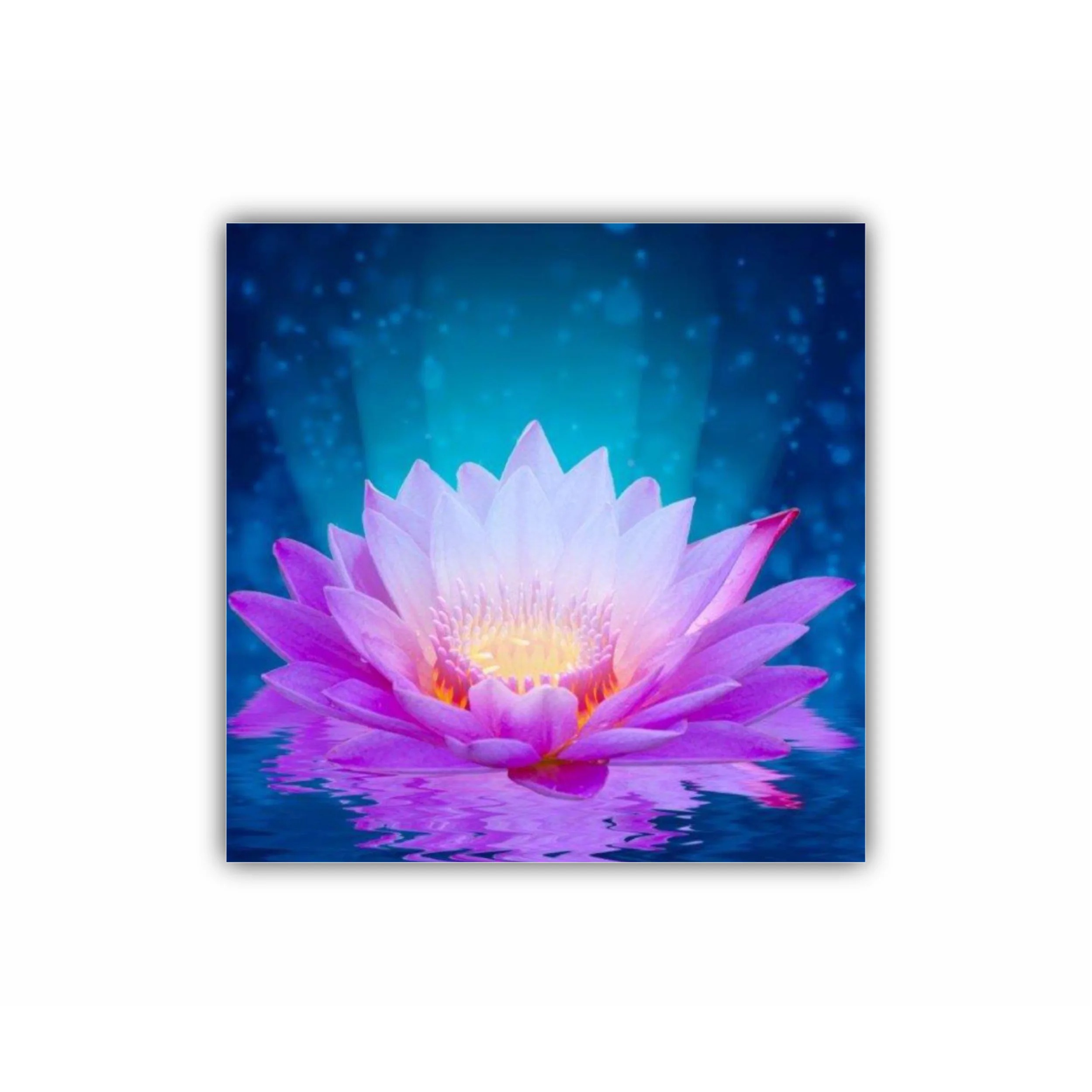 Floarea de lotus