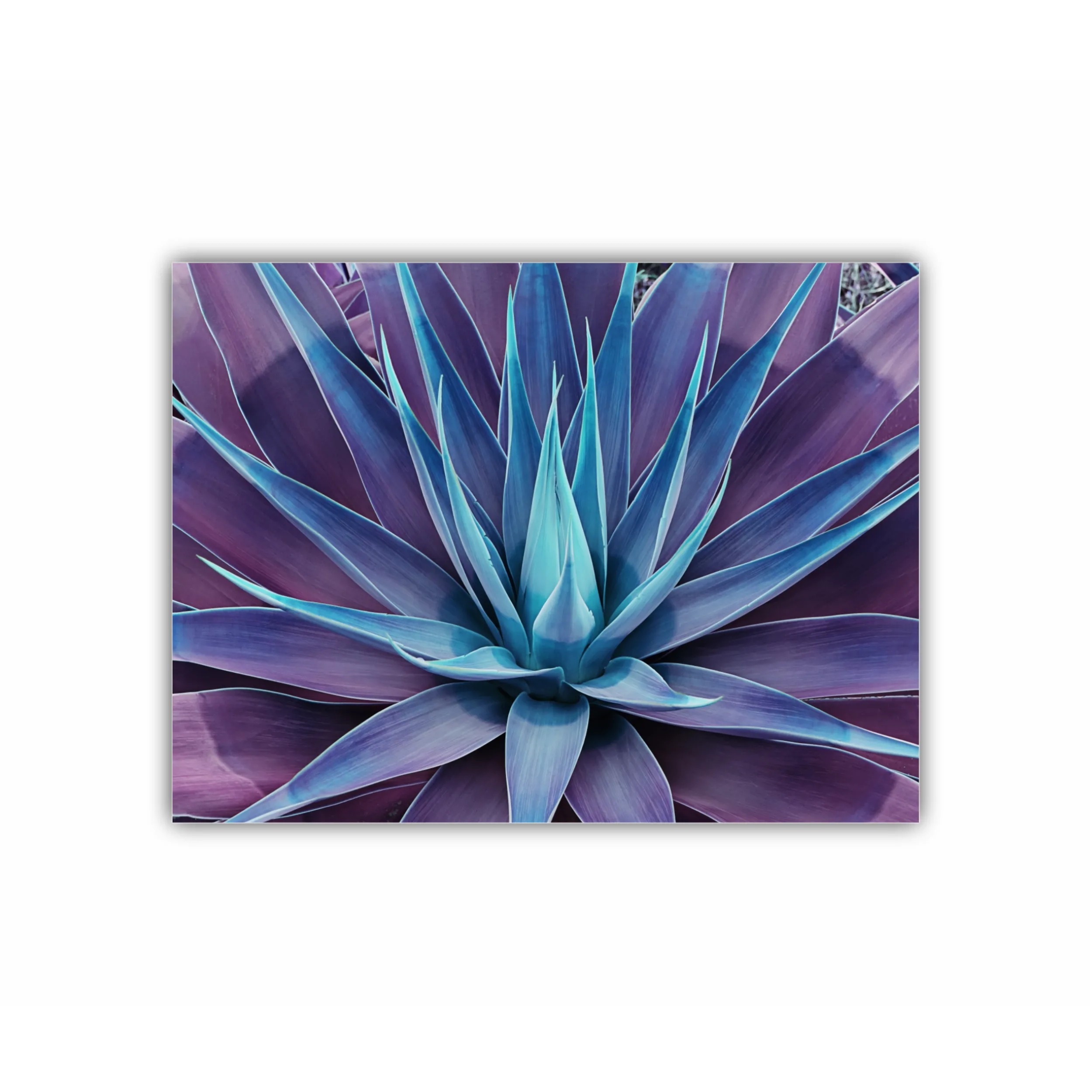 Floarea de lotus