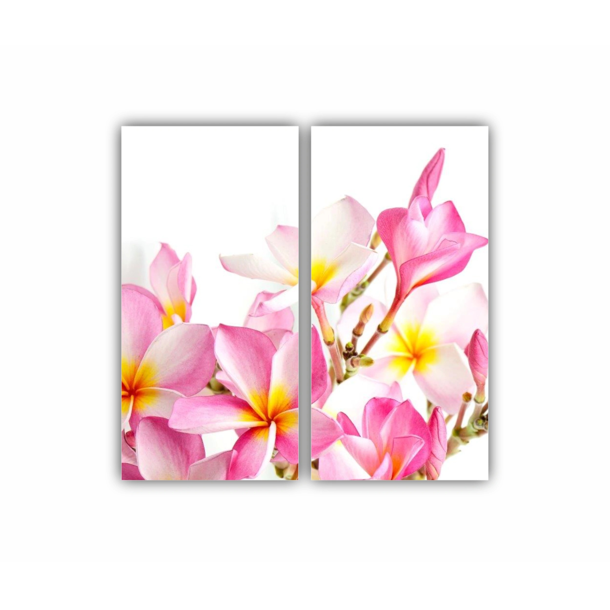 Plumeria