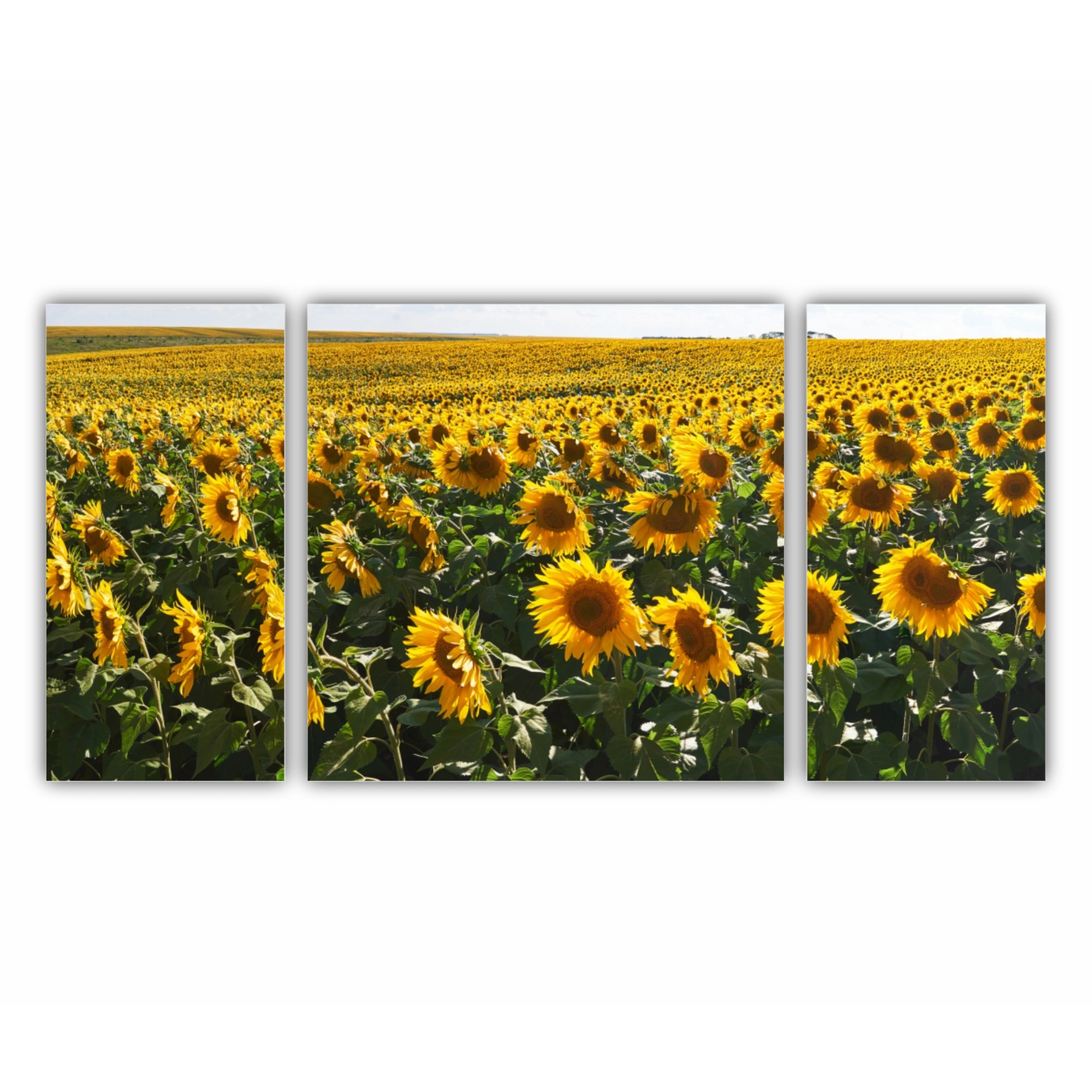 Tablouri Multicanvas - 3 Piese