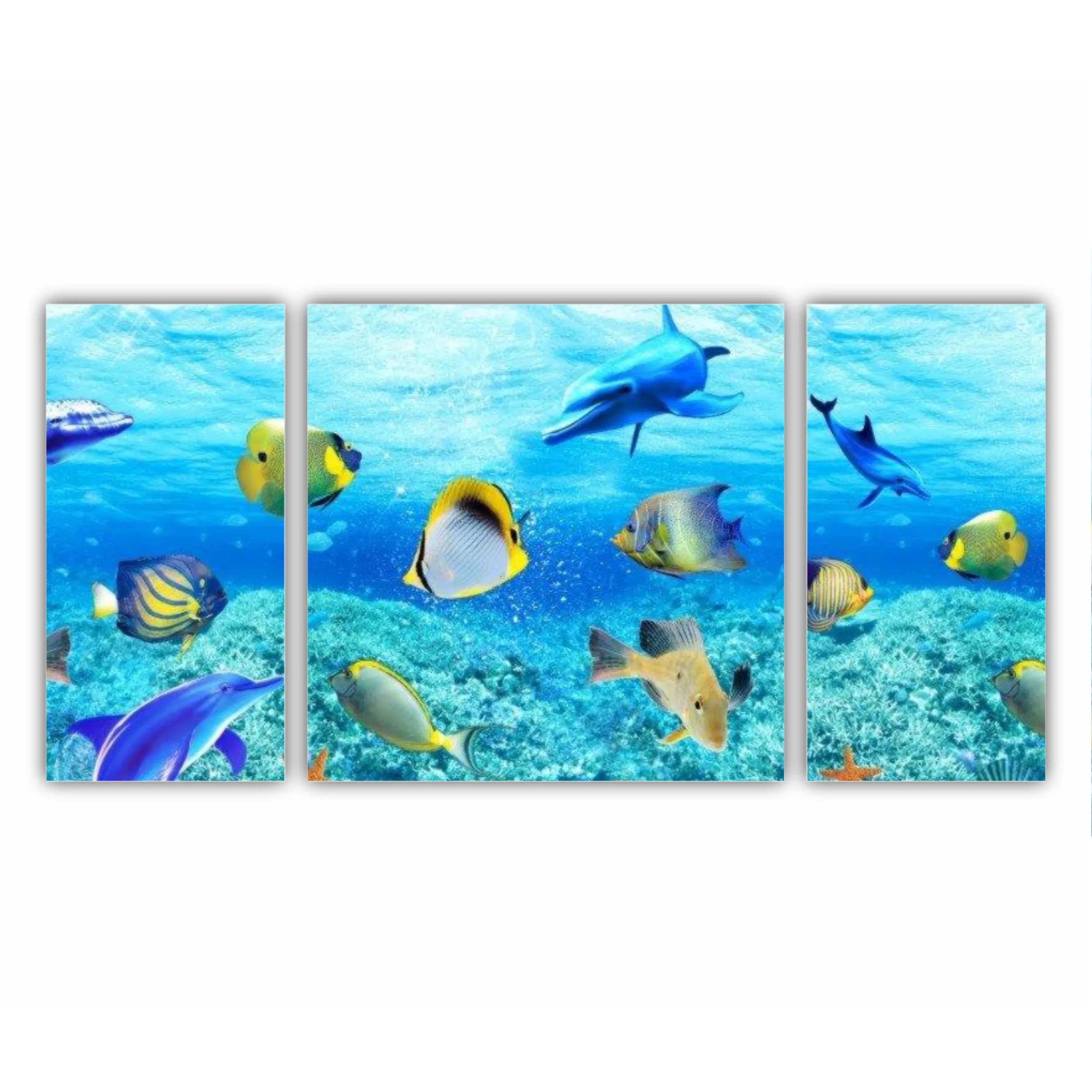 Coral reef sand water 2