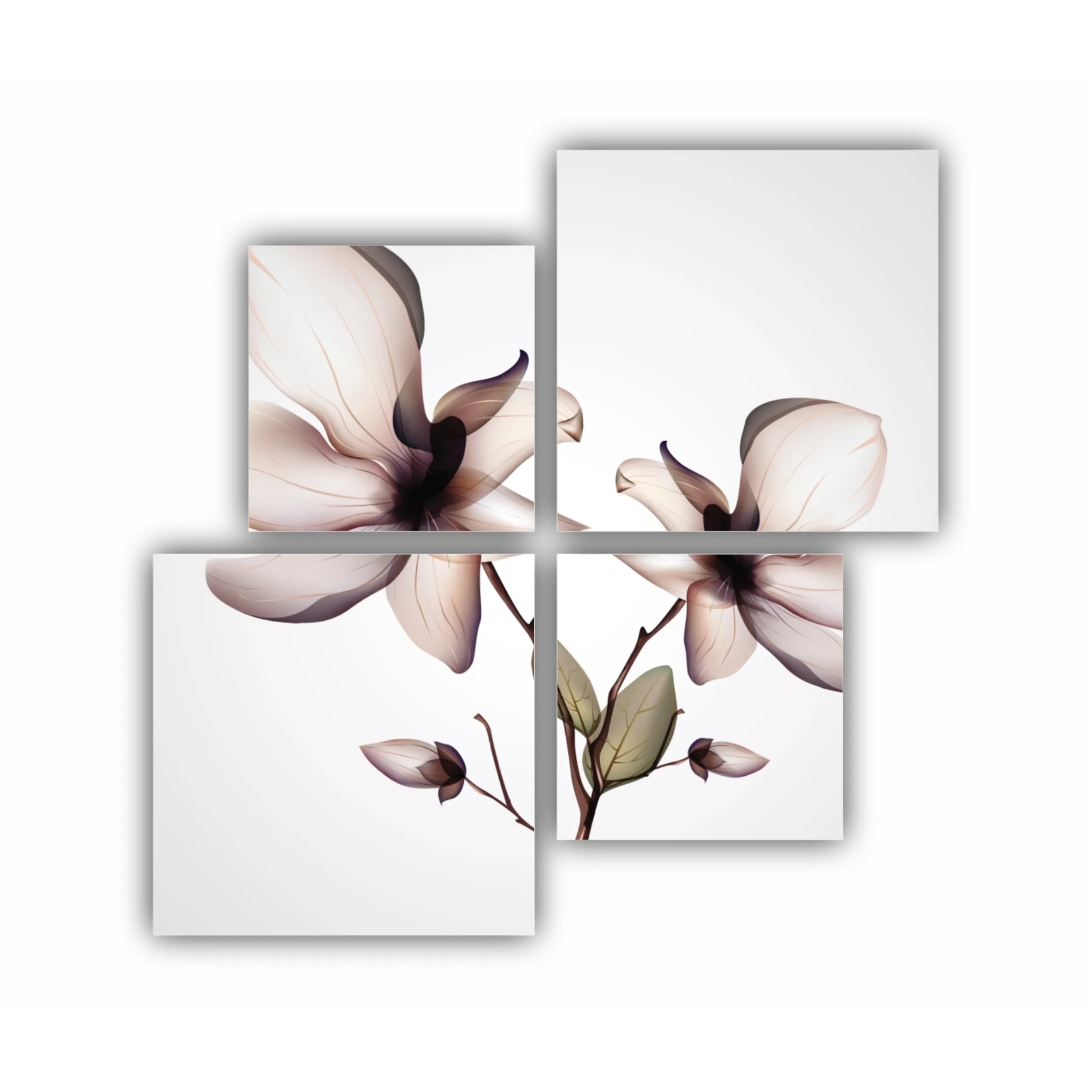 Orhidee Phalaenopsis 2
