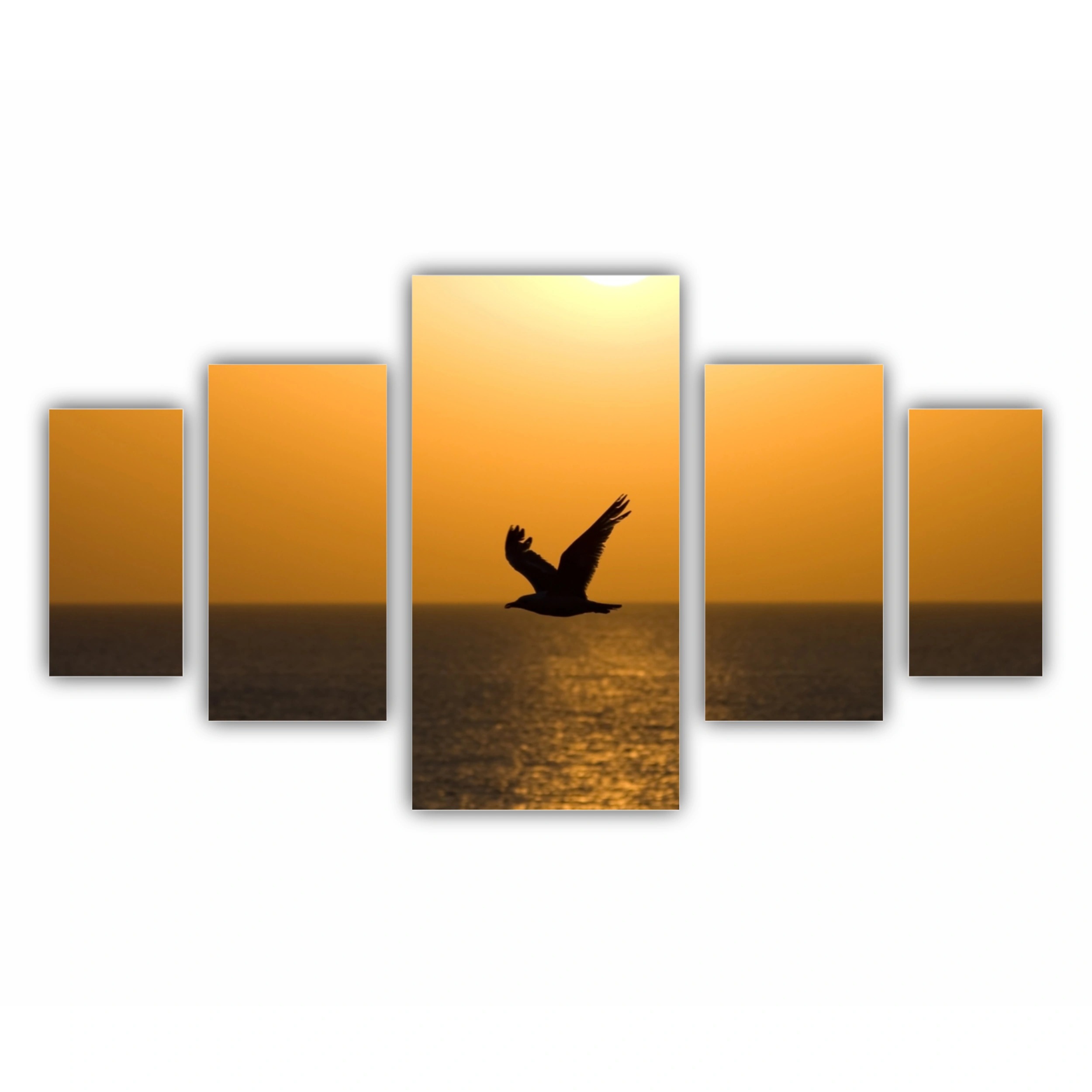 O siluetă de pescăruș | A silhouette of a seagull