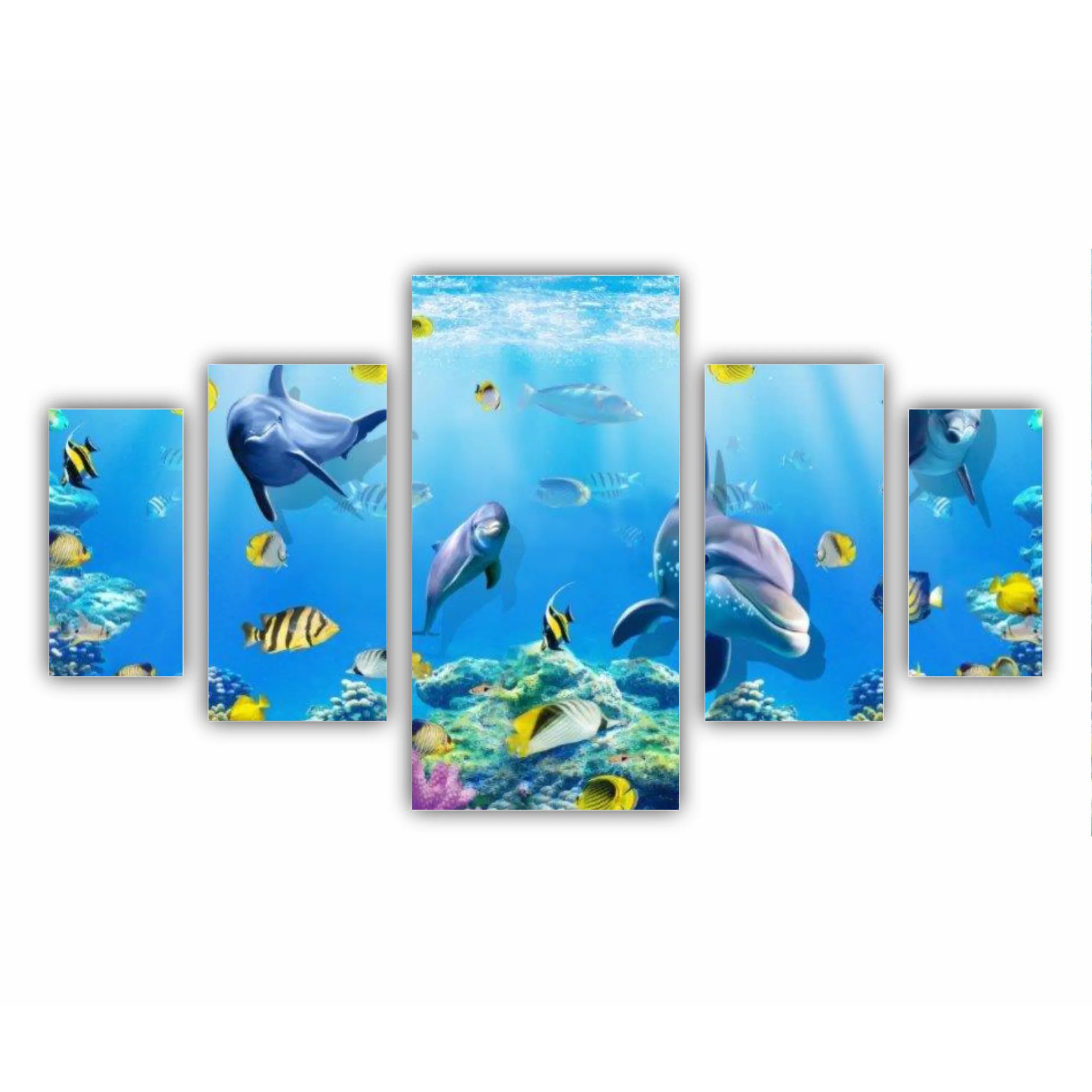 Coral reef sand water