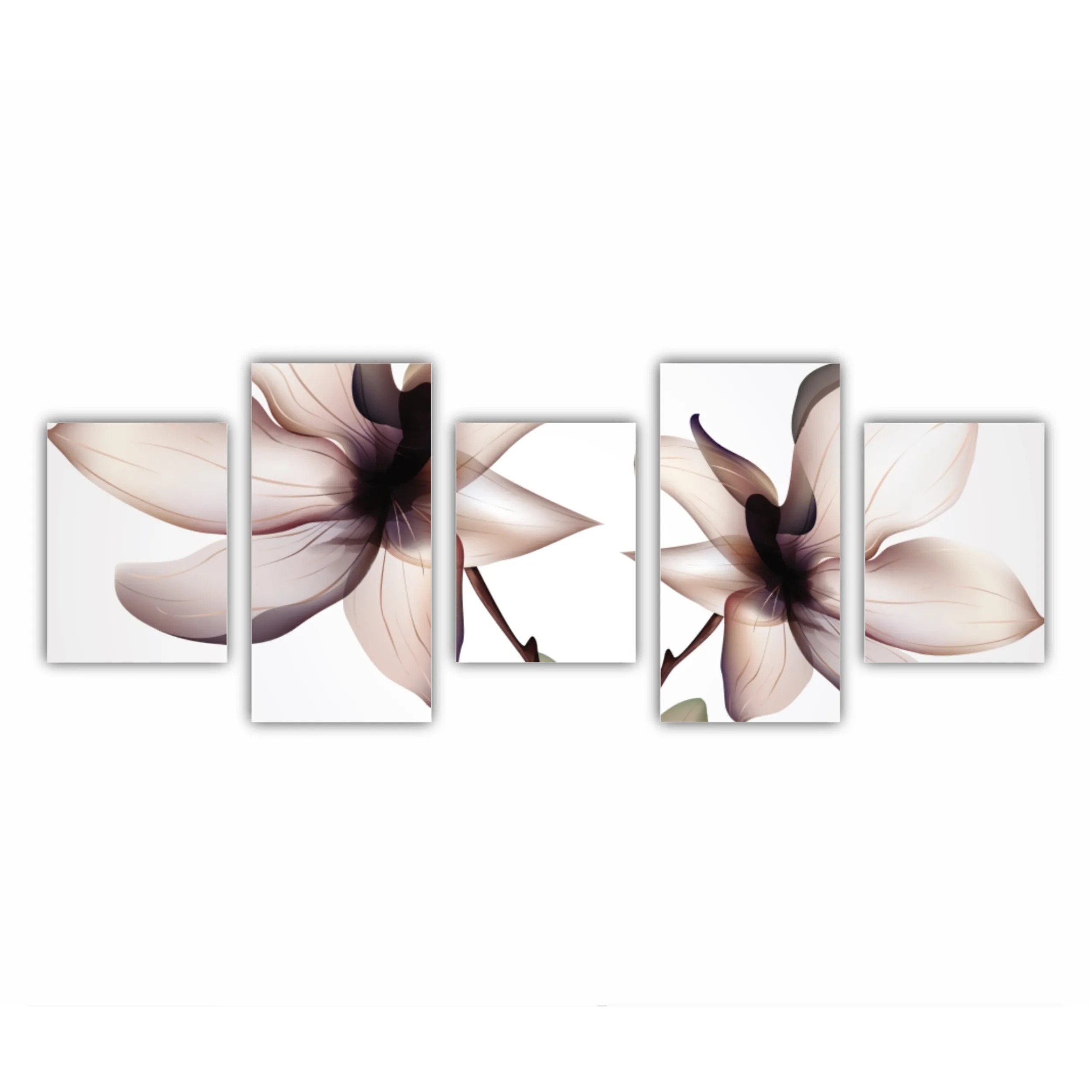 Orhidee Phalaenopsis 2