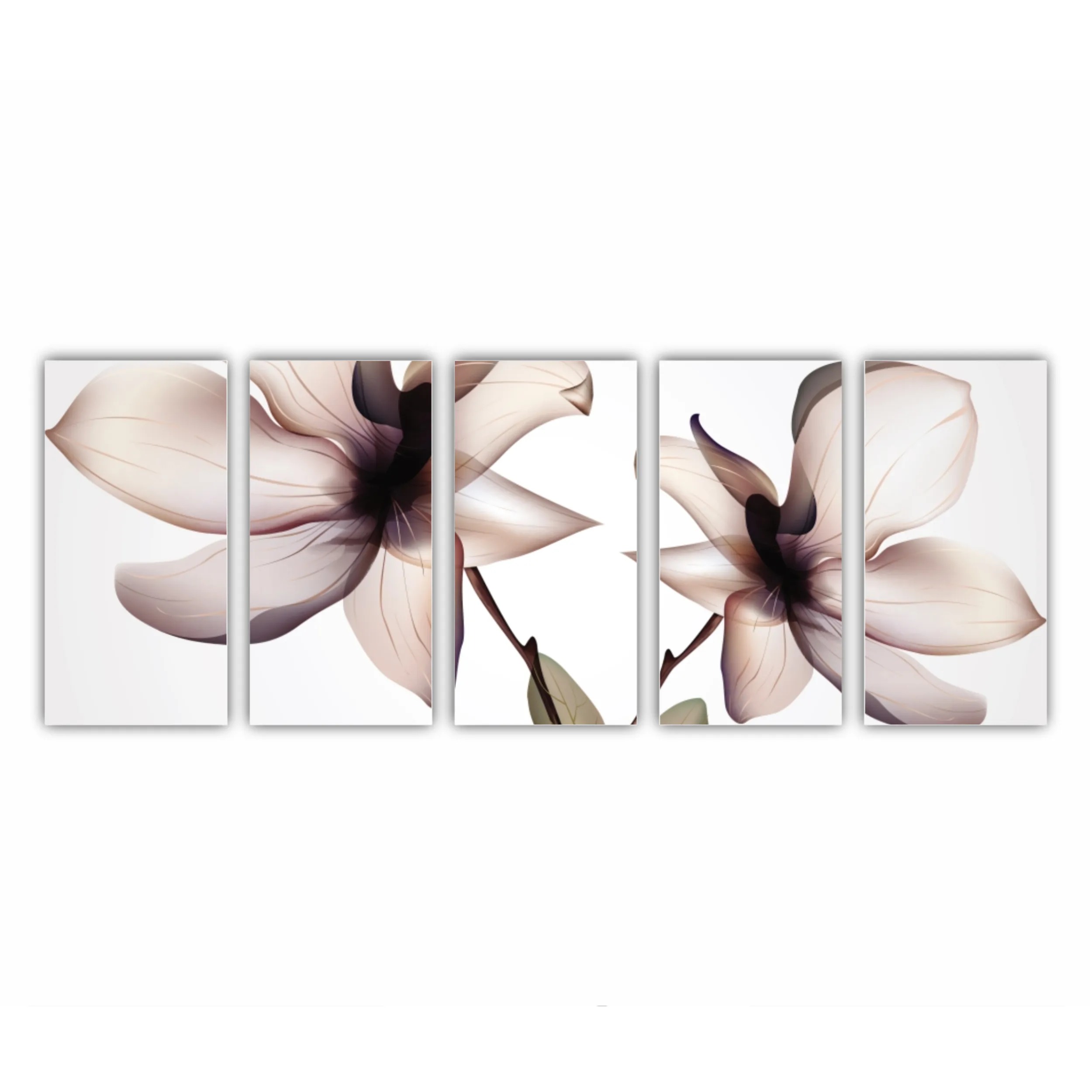 Orhidee Phalaenopsis 2