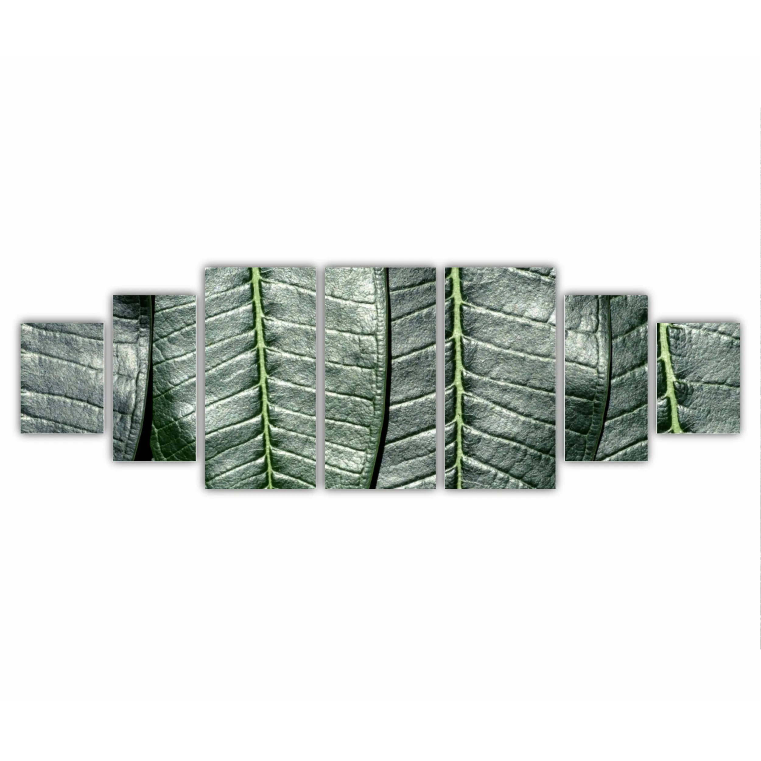 Plumeria 19