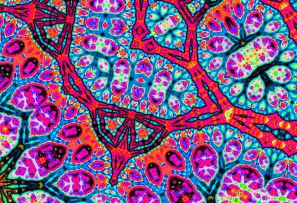 Psychedelic Fractal Art 12 - de ROBERTO SORIN